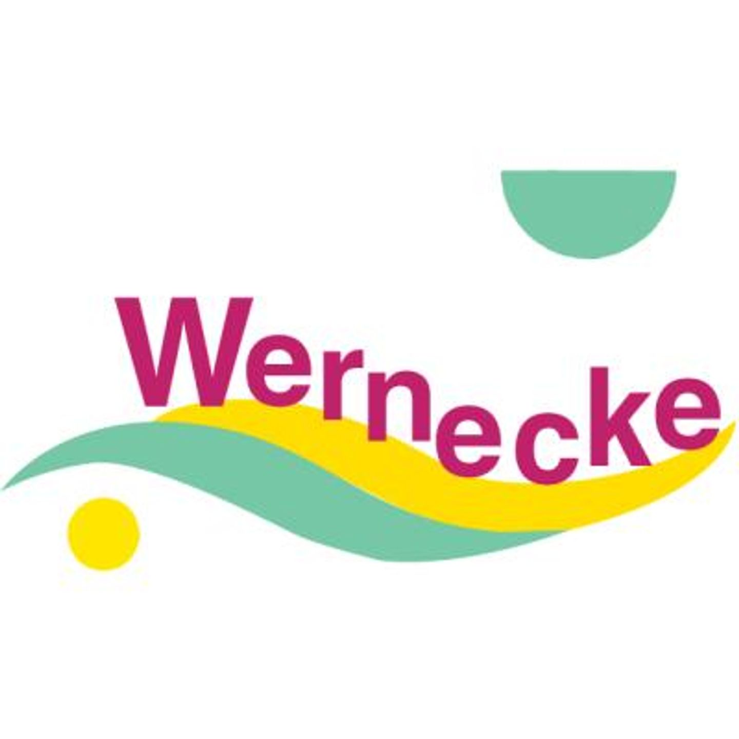 Logo der Firma Wernecke Heizung-Sanitär GmbH aus Bayreuth