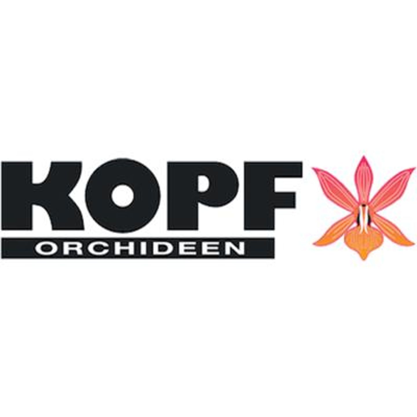 Logo der Firma Kopf Orchideen und Floristik aus Deggendorf