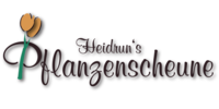 Logo der Firma Heidruns Pflanzenscheune Inh. Annika Drechsel aus Marienberg