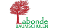 Logo der Firma Baumschule Labonde, Martin aus Niederkrüchten