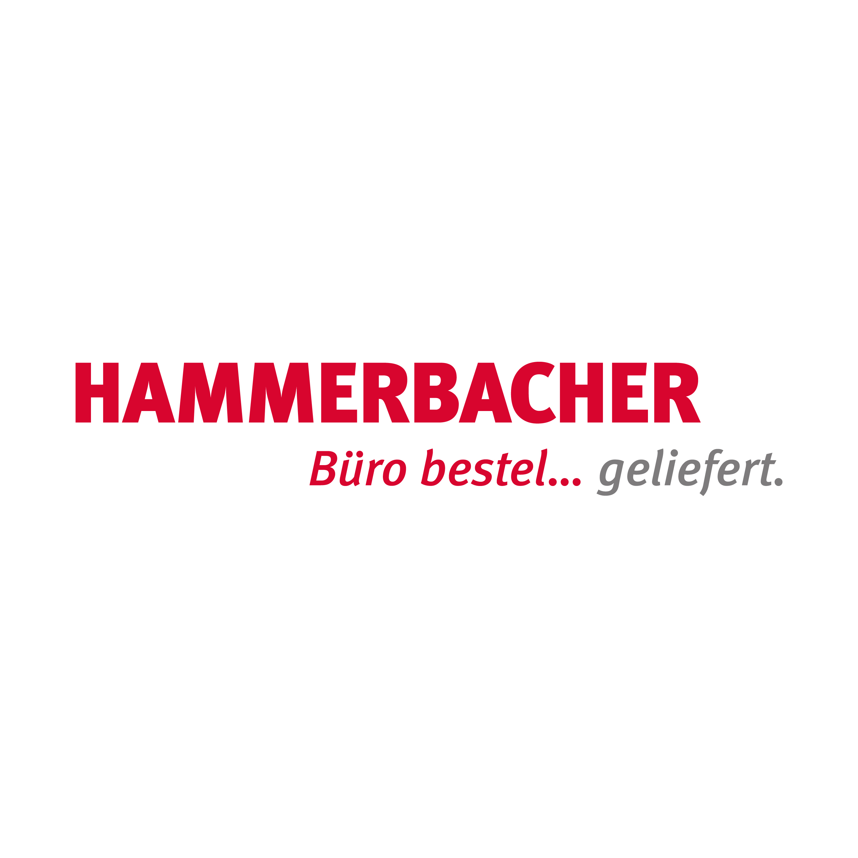 Logo der Firma Hammerbacher GmbH aus Neumarkt