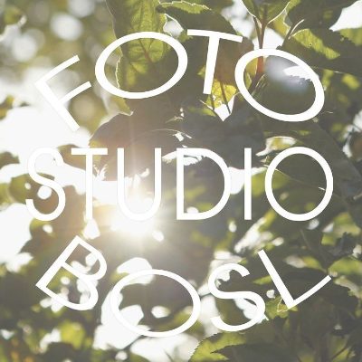 Logo der Firma Fotostudio Bosl aus Steinach