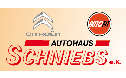 Logo der Firma Autohaus Schniebs aus Leutersdorf