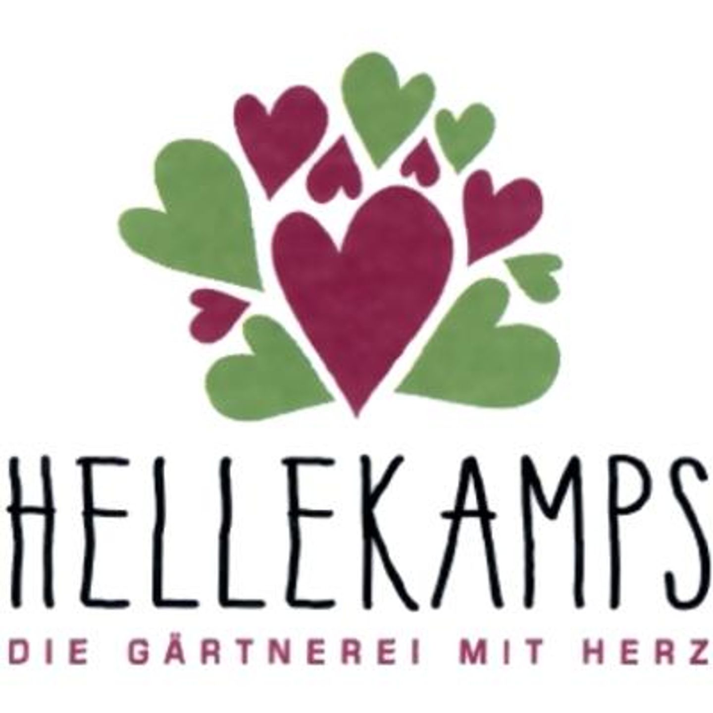 Logo der Firma Friedhofsgärtnerei u. Blumenhaus Hellekamps-Rottler e.K. aus Viersen
