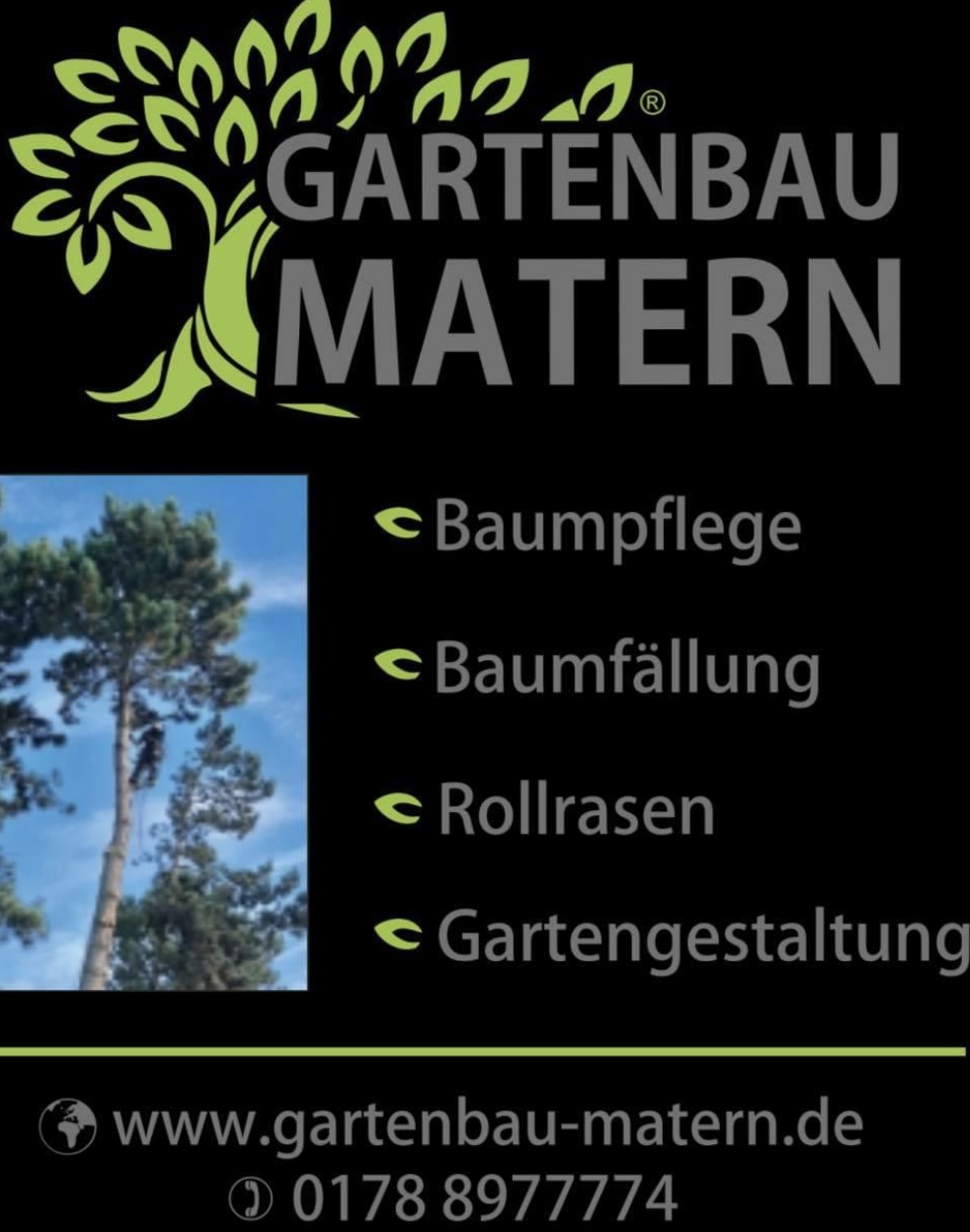 Logo der Firma Baumfällung Gartenservice Gartenbau Bad Kreuznach  aus Hackenheim 