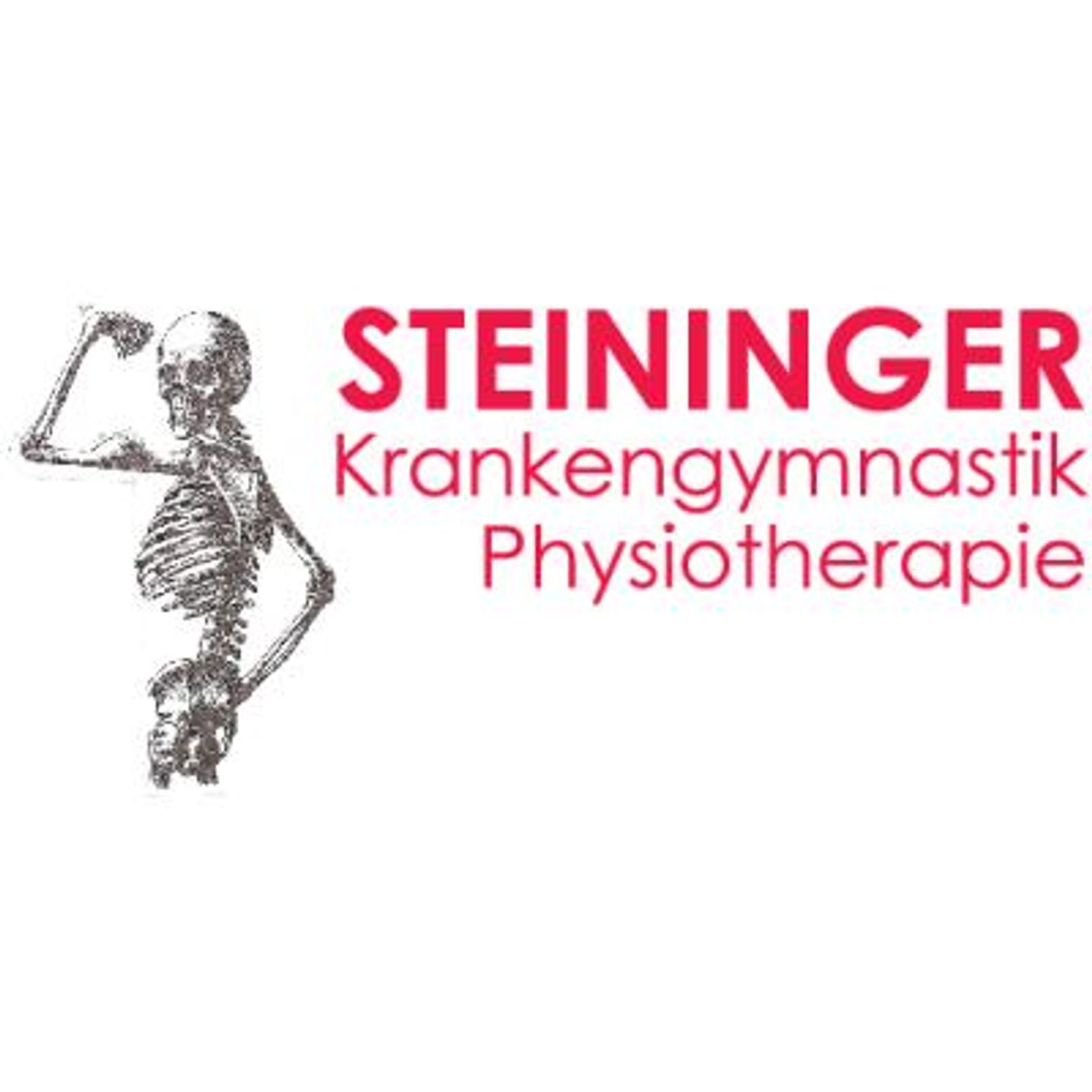 Logo der Firma Krankengymnastik Steininger aus Passau