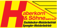 Logo der Firma Dachdecker Haberkorn & Söhne GmbH & Co. KG aus Mitterteich
