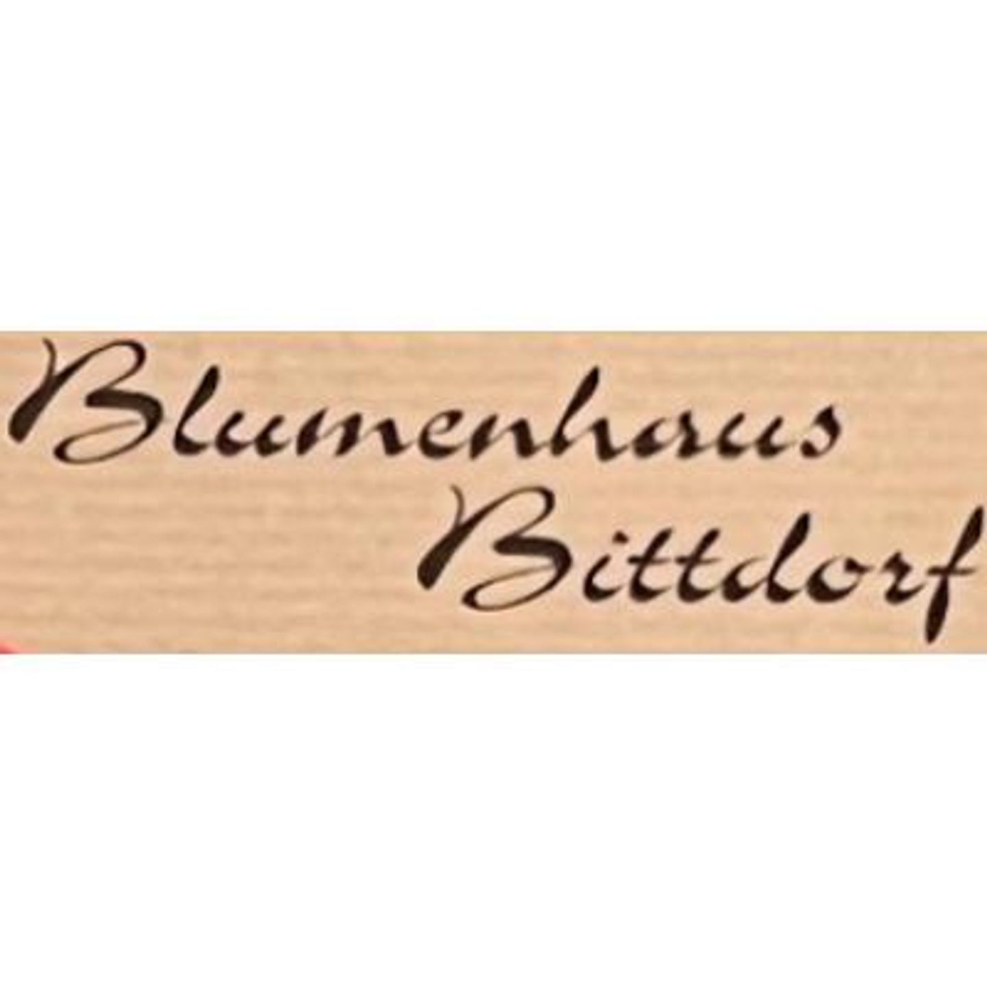 Logo der Firma Blumen Bittdorf Inh. Mohr Wilfried Blumenfachgeschäft aus Hofgeismar