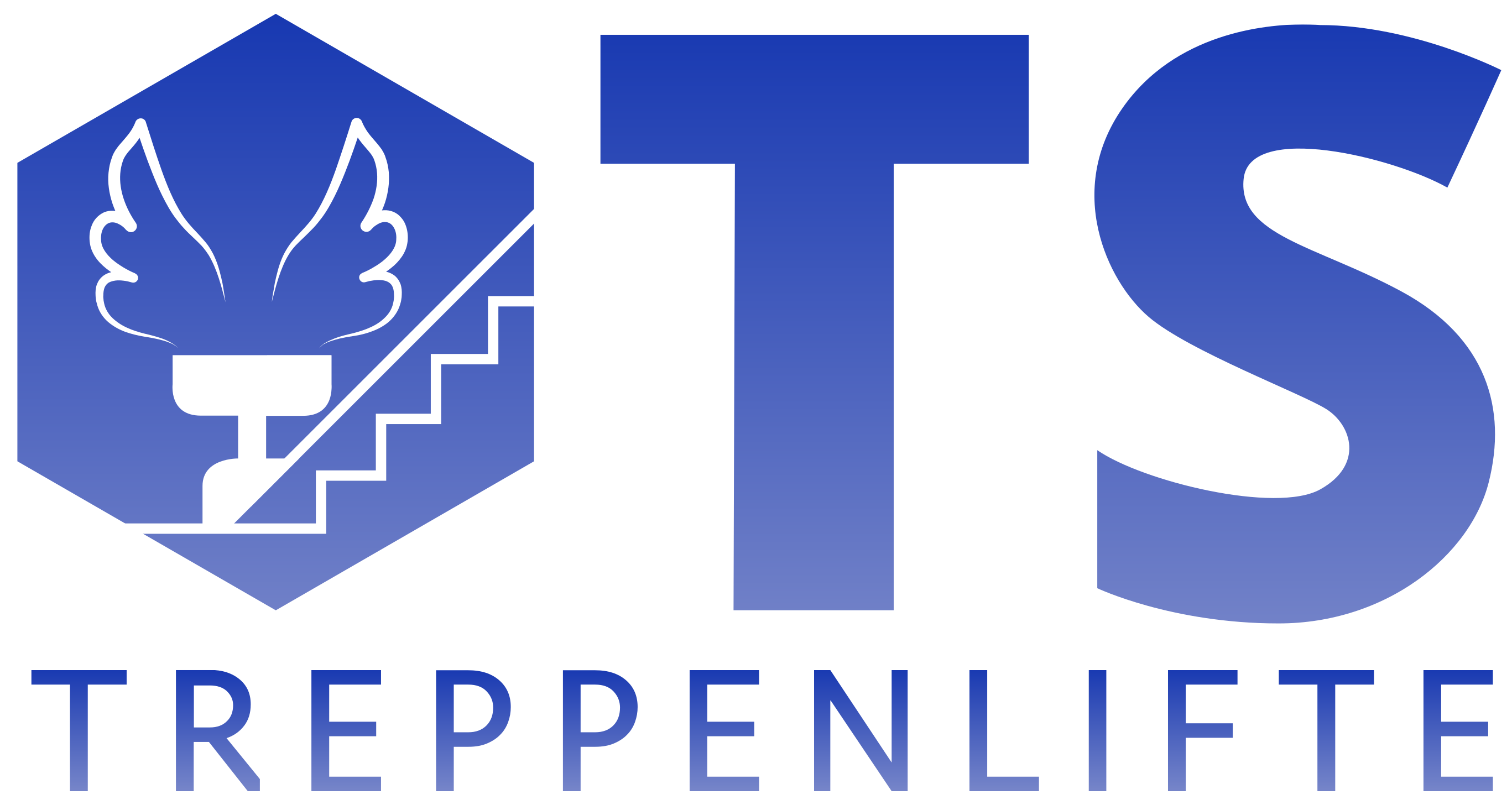 Logo der Firma TS Treppenlifte Karlsruhe - Treppenlift | Plattformlift aus Karlsruhe