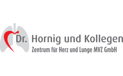 Logo der Firma Hornig Dr. & Kollegen aus Bayreuth
