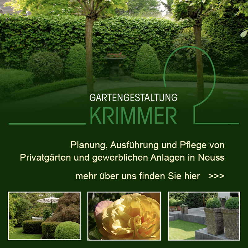 Garten Und Landschaftsbau In Neuss Baumpflege