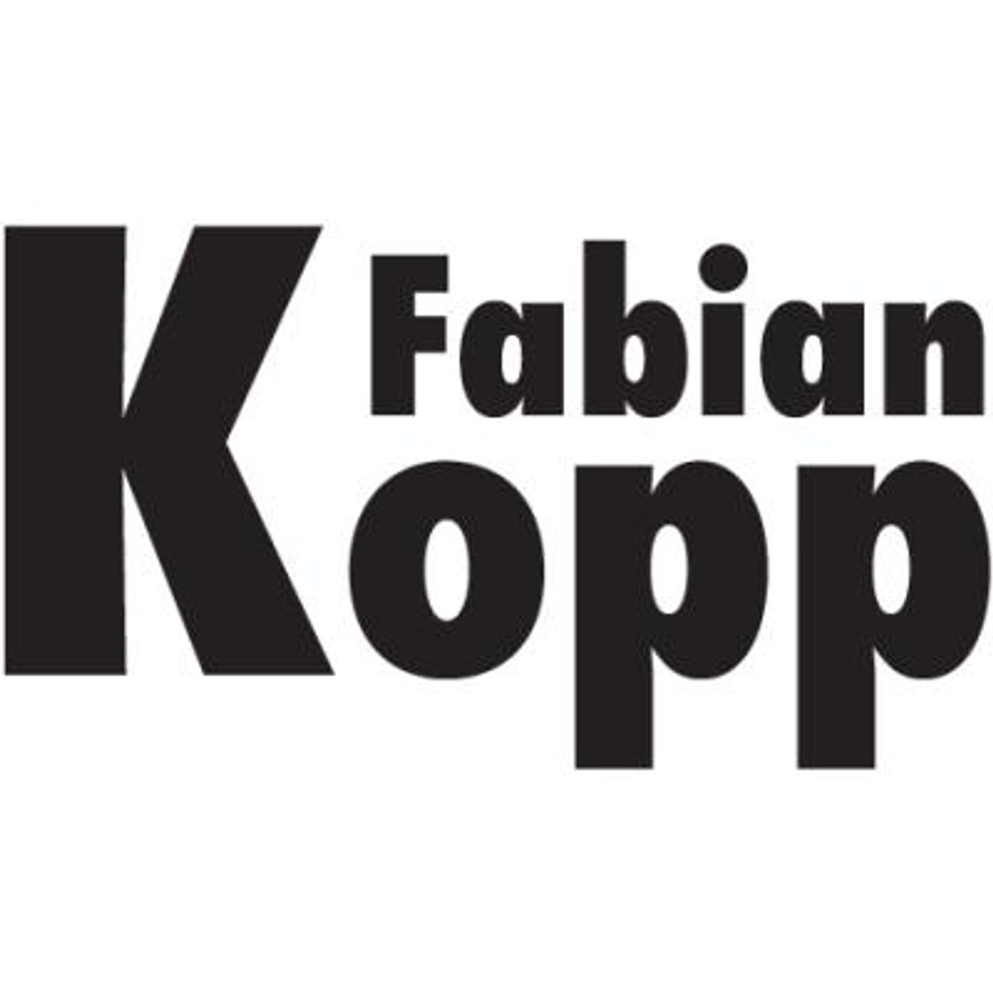 Logo der Firma Fabian Kopp Klempnerei aus Markneukirchen