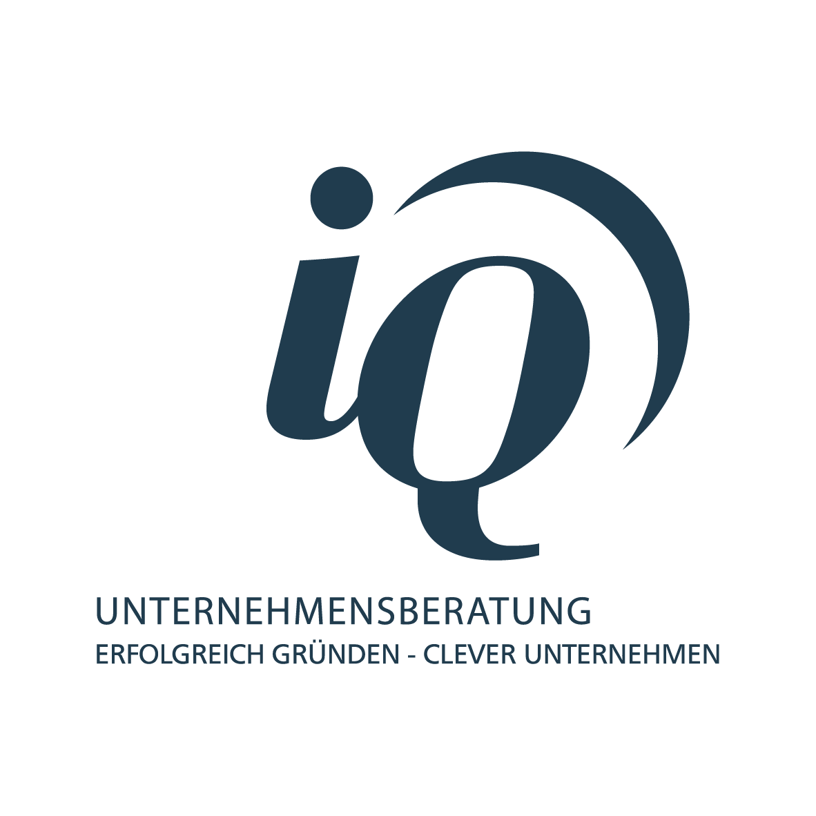 Logo der Firma IQ Unternehmensberatungs GmbH aus Chemnitz