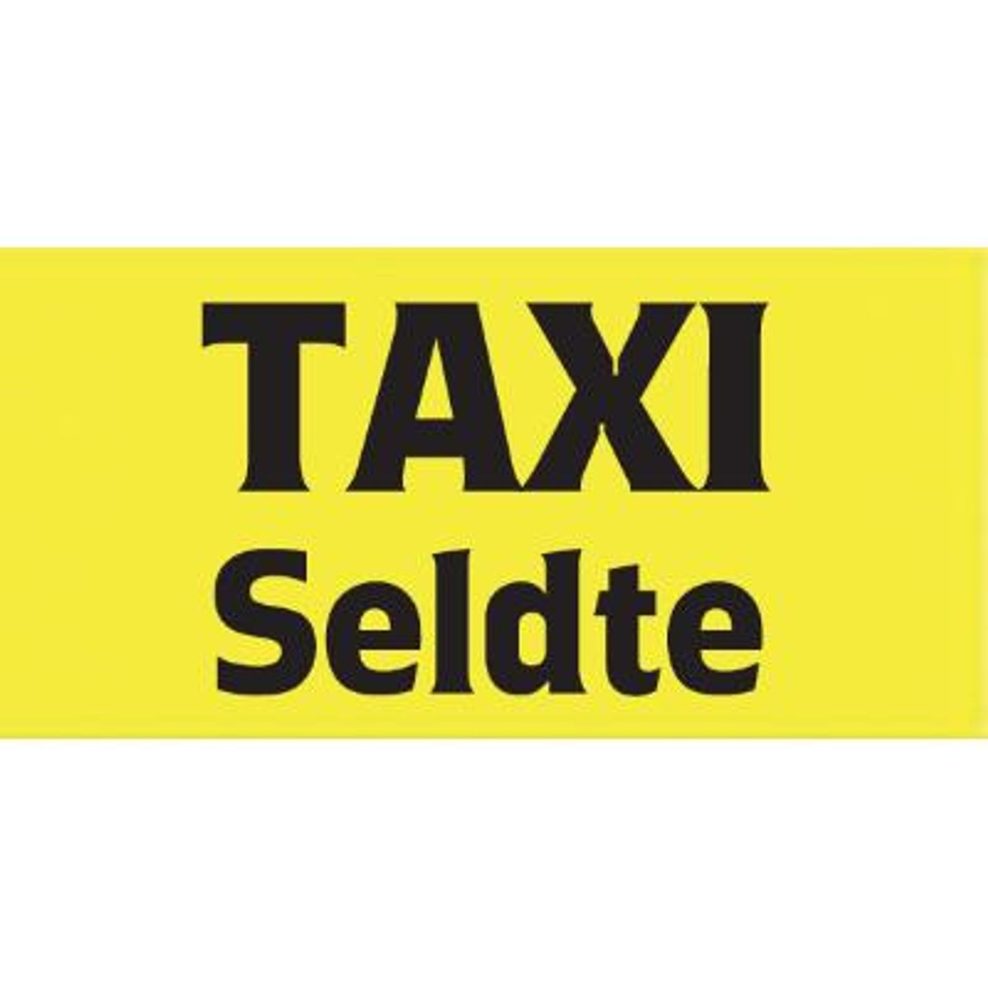 Logo der Firma Taxi Seldte aus Schleiz