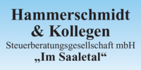 Logo der Firma Hammerschmidt & Kollegen aus Moßbach