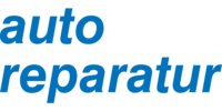Logo der Firma auto reparatur Tino Schietzel aus Priestewitz