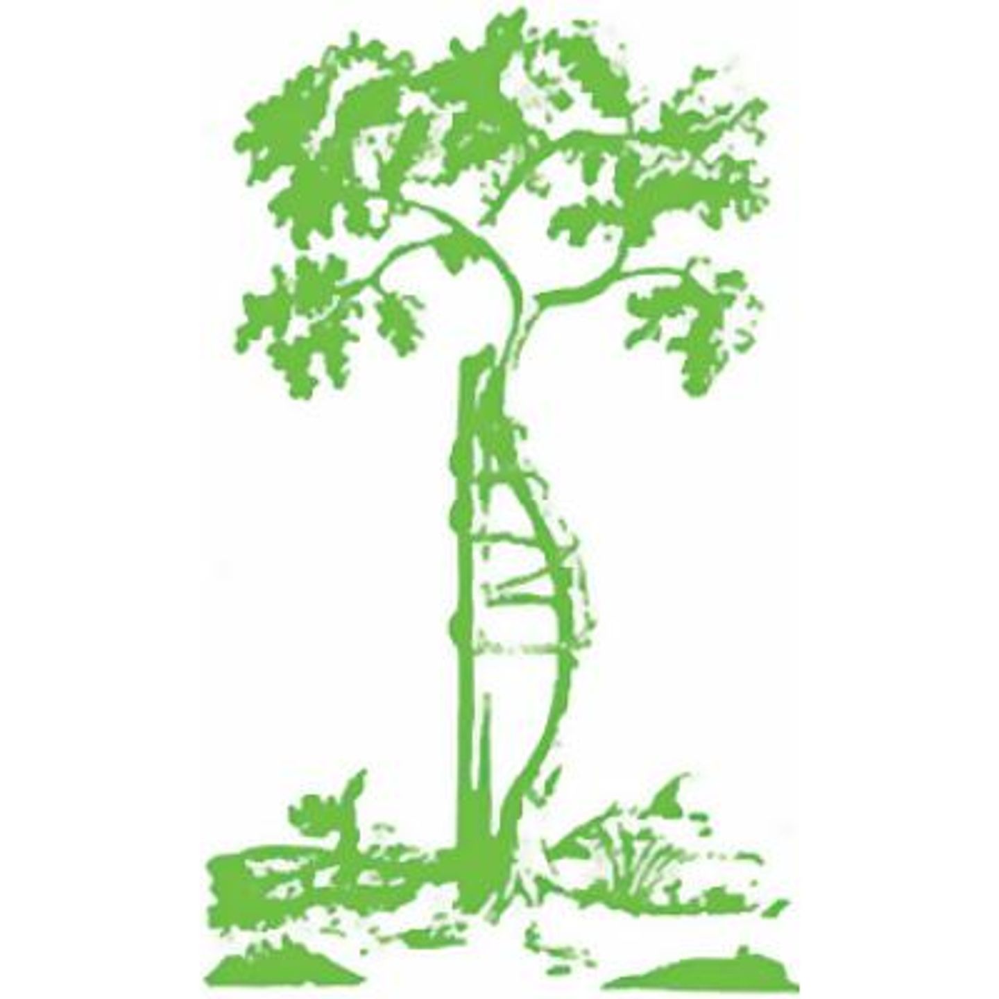 Logo der Firma Orthopädie- und Rehatechnik GmbH Karsten Mandau aus Mülheim