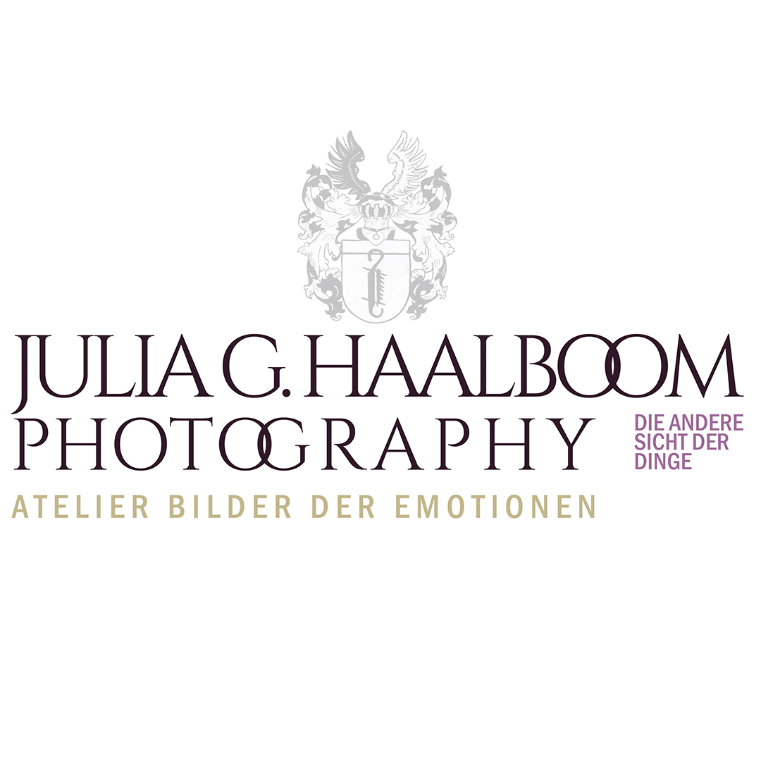 Logo der Firma Atelier Bilder der Emotionen - Julia G. Haalboom aus Wohnste