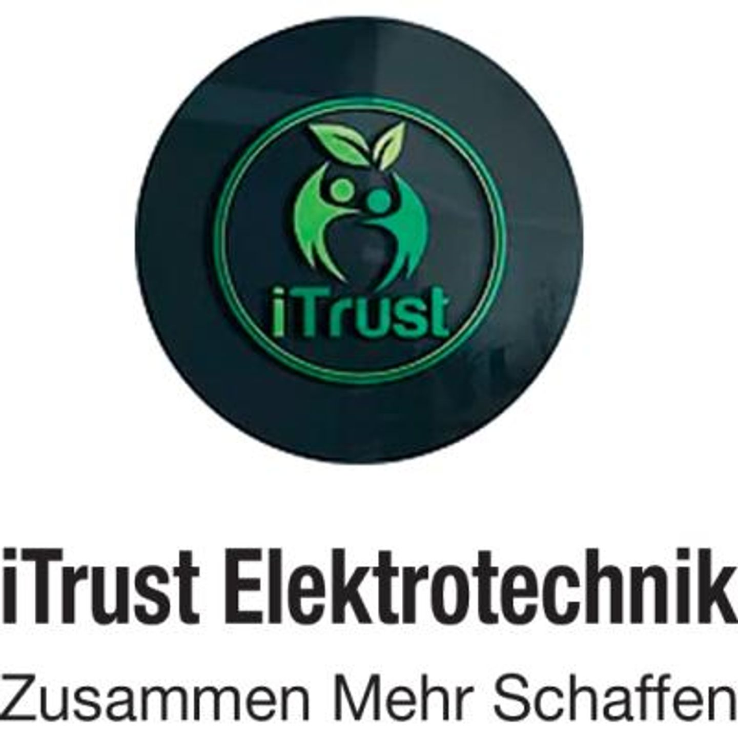 Logo der Firma iTrust Elektrotechnik GmbH aus Wuppertal
