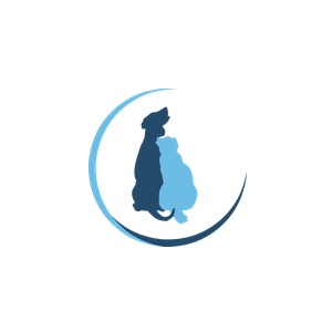Logo der Firma Dr. Anja Peters aus Berlin