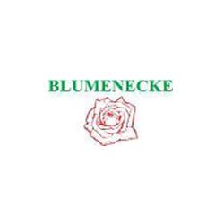 Logo der Firma Blumen-Ecke Romana Hoss aus Stein
