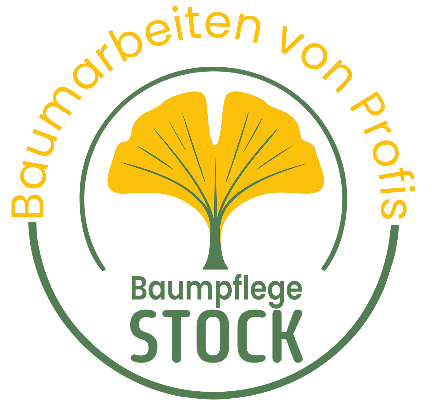 Logo der Firma Baumpflege Stock aus Nürnberg