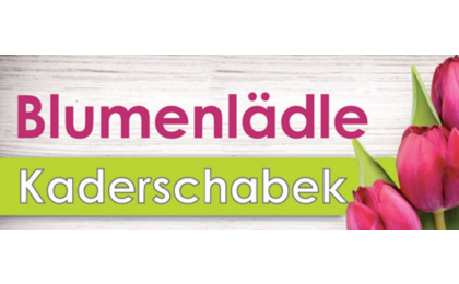 Logo der Firma Blumen Kaderschabek aus Reichenberg