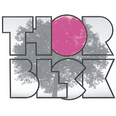 Logo der Firma Schreinerei Michael Thorbeck aus Wendelstein