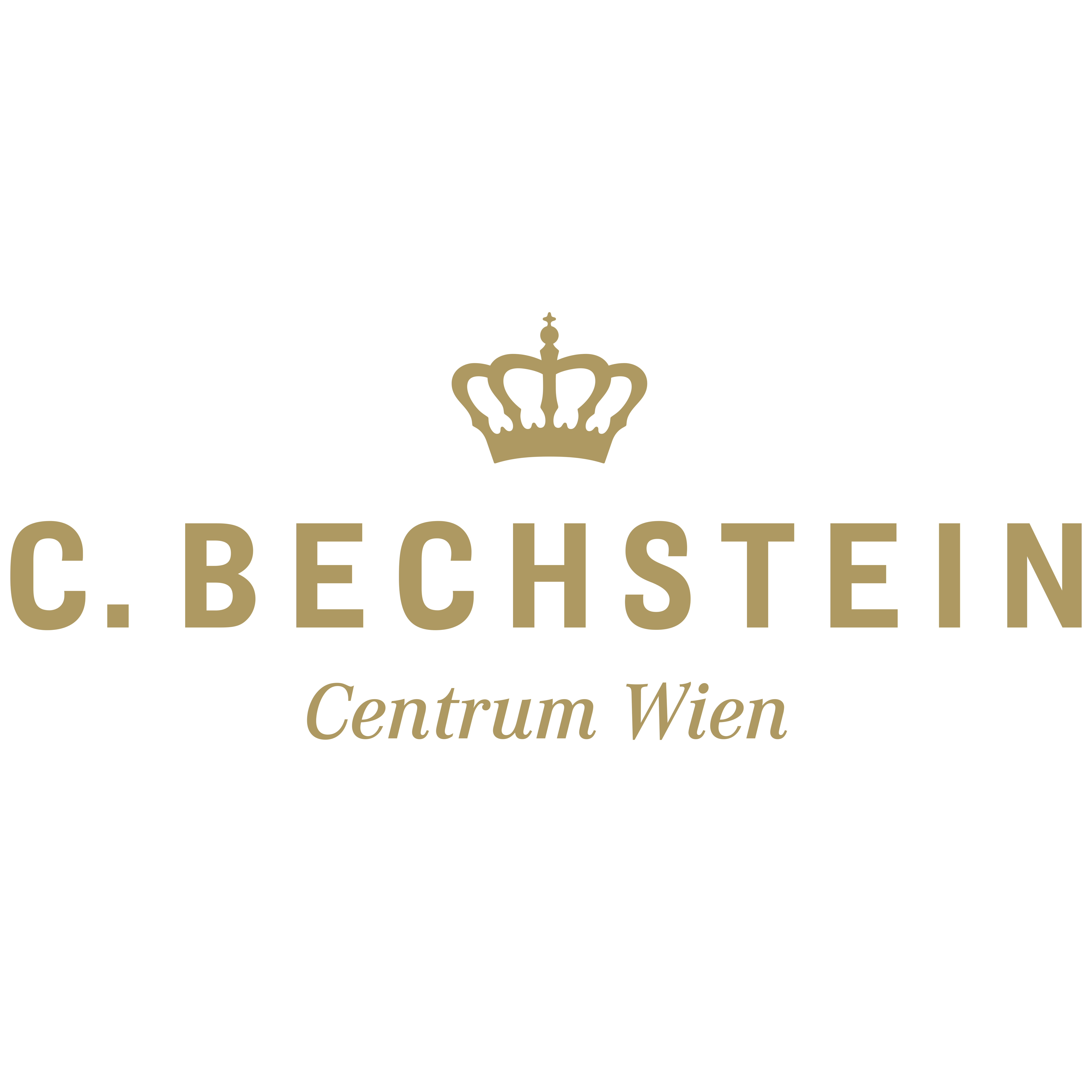 Logo der Firma C. Bechstein Centrum Wien aus Wien