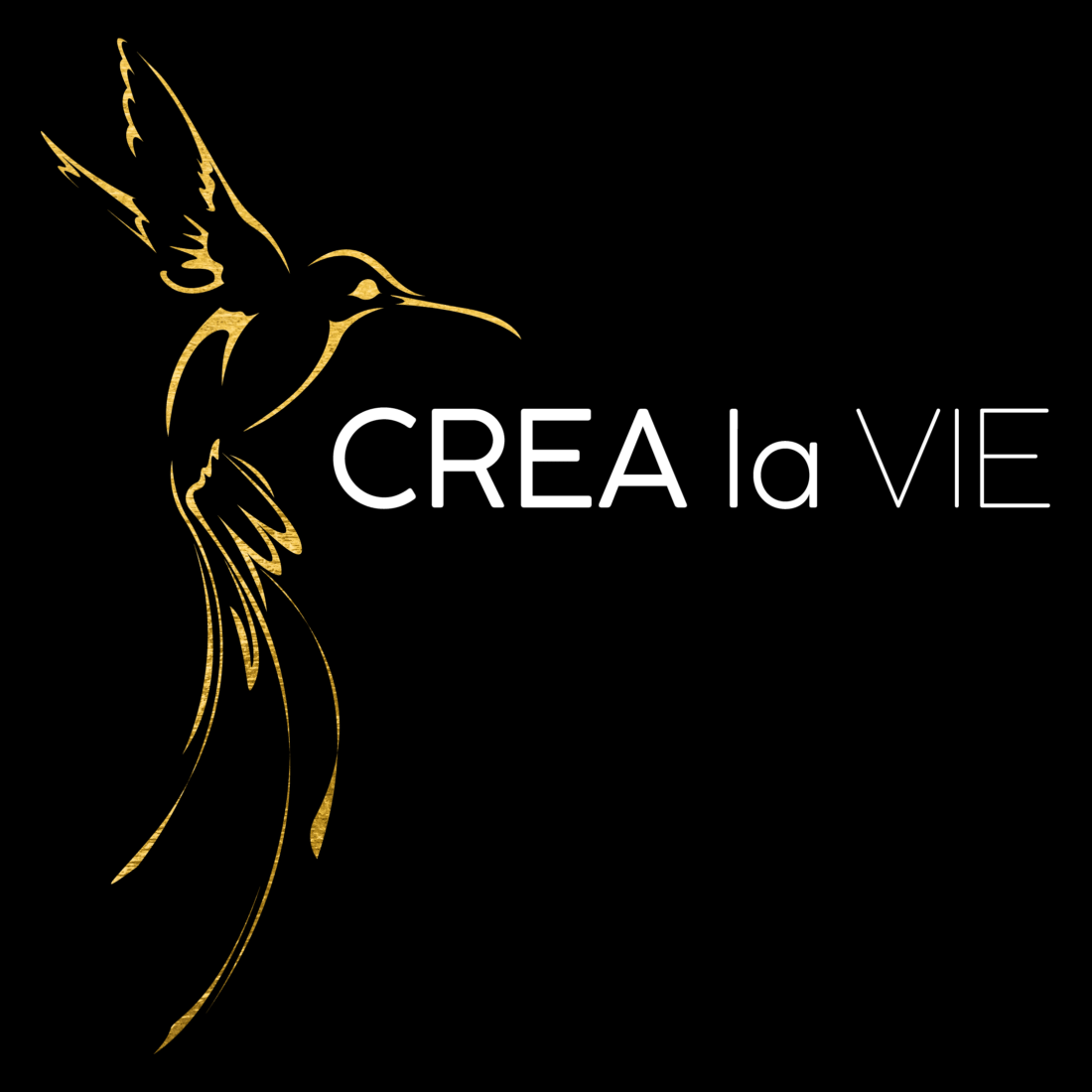 Logo der Firma CREA la VIE aus Hirschaid
