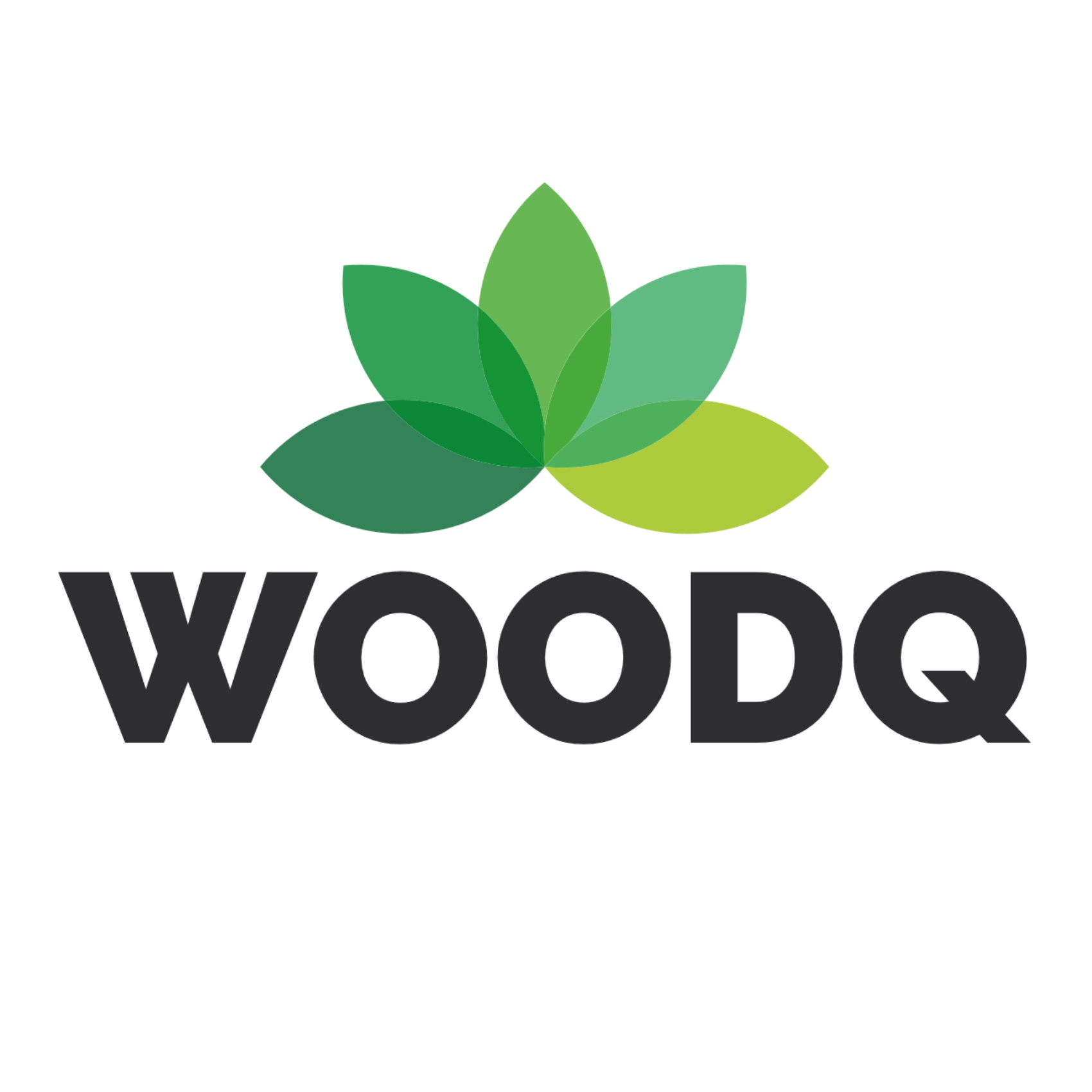 Logo der Firma Woodq UG (haftungsbeschränkt) aus Köln