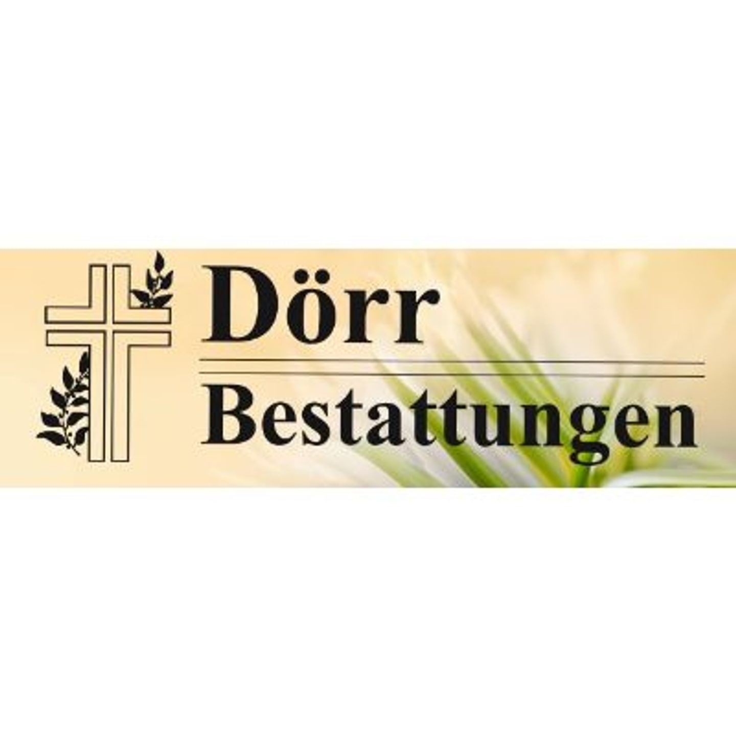 Logo der Firma Beerdigungsinstitut Dörr aus Wetter