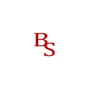 Logo der Firma W.u.E. Schwabenbauer GmbH aus Regensburg