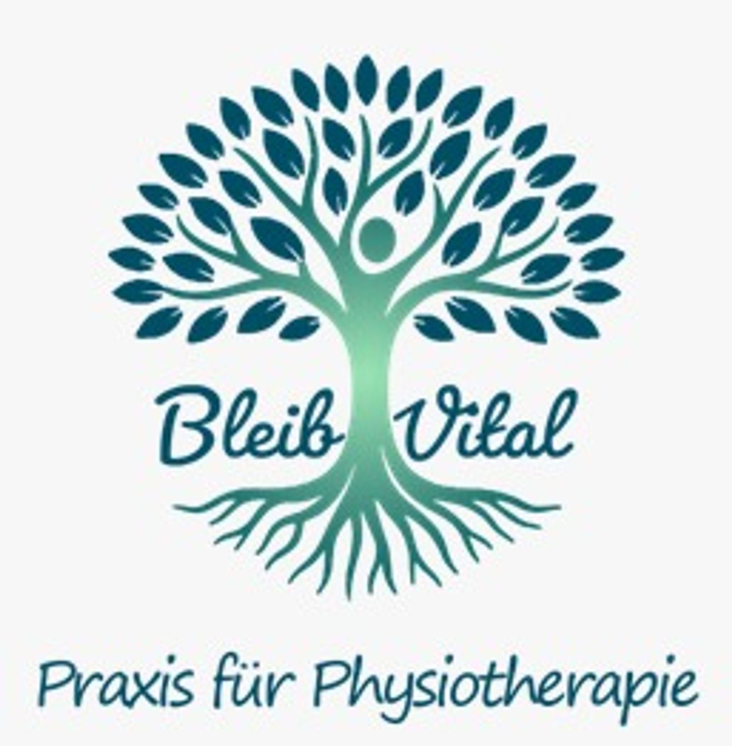 Logo der Firma Ann-Kristin Schröter BleibVital aus Leipzig