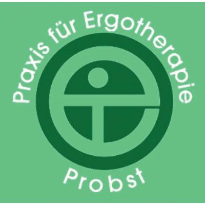Logo der Firma Praxis für Ergotherapie Probst aus Hofgeismar