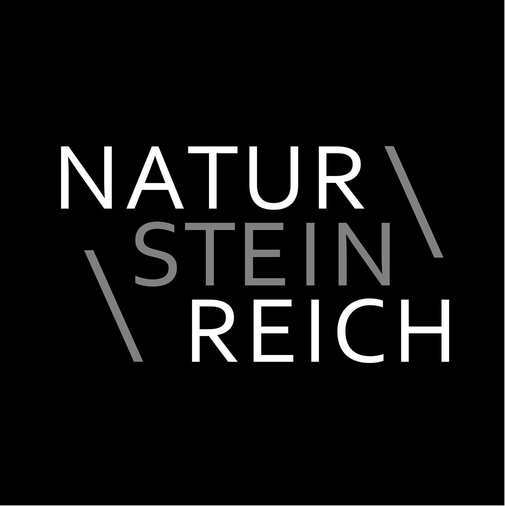 Logo der Firma NATUR-STEIN-REICH aus Mönchengladbach