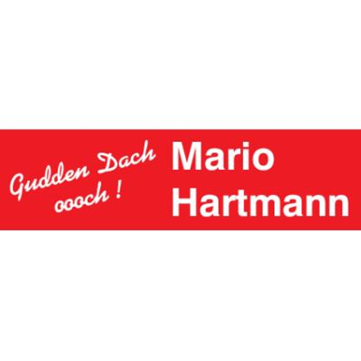Logo der Firma Mario Hartmann Dachdeckerei aus Radebeul
