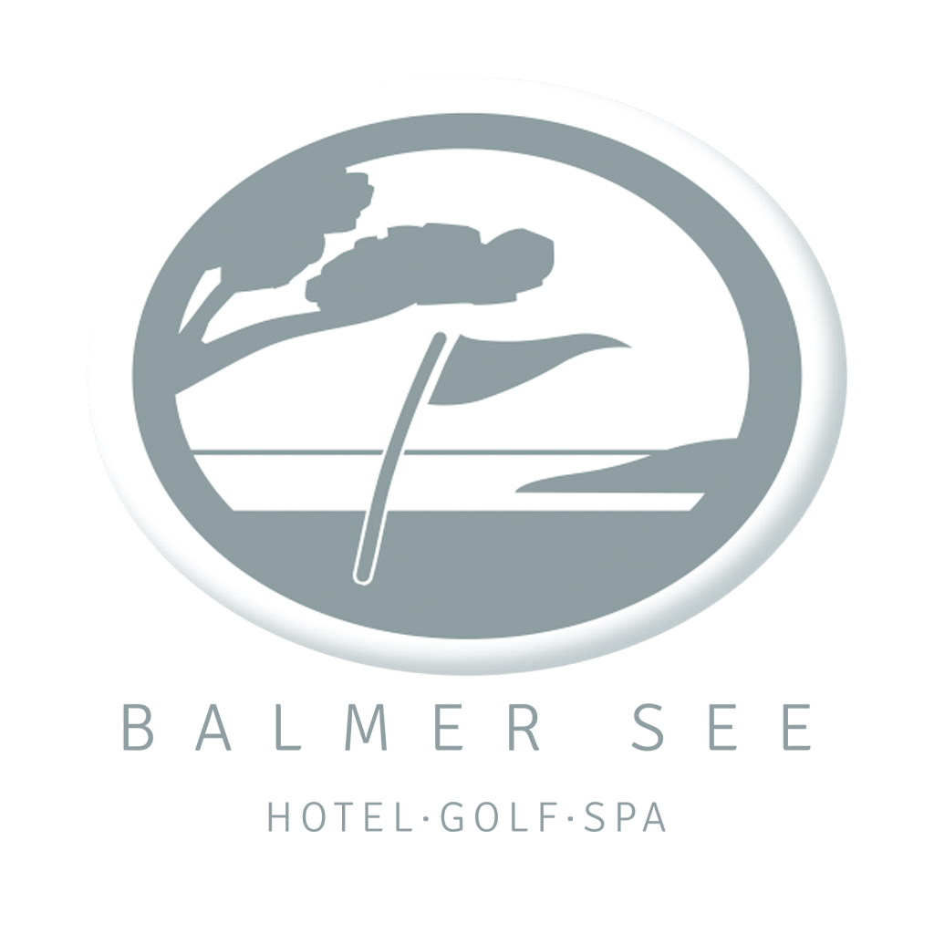 Logo der Firma Hotel Balmer See GmbH aus Benz