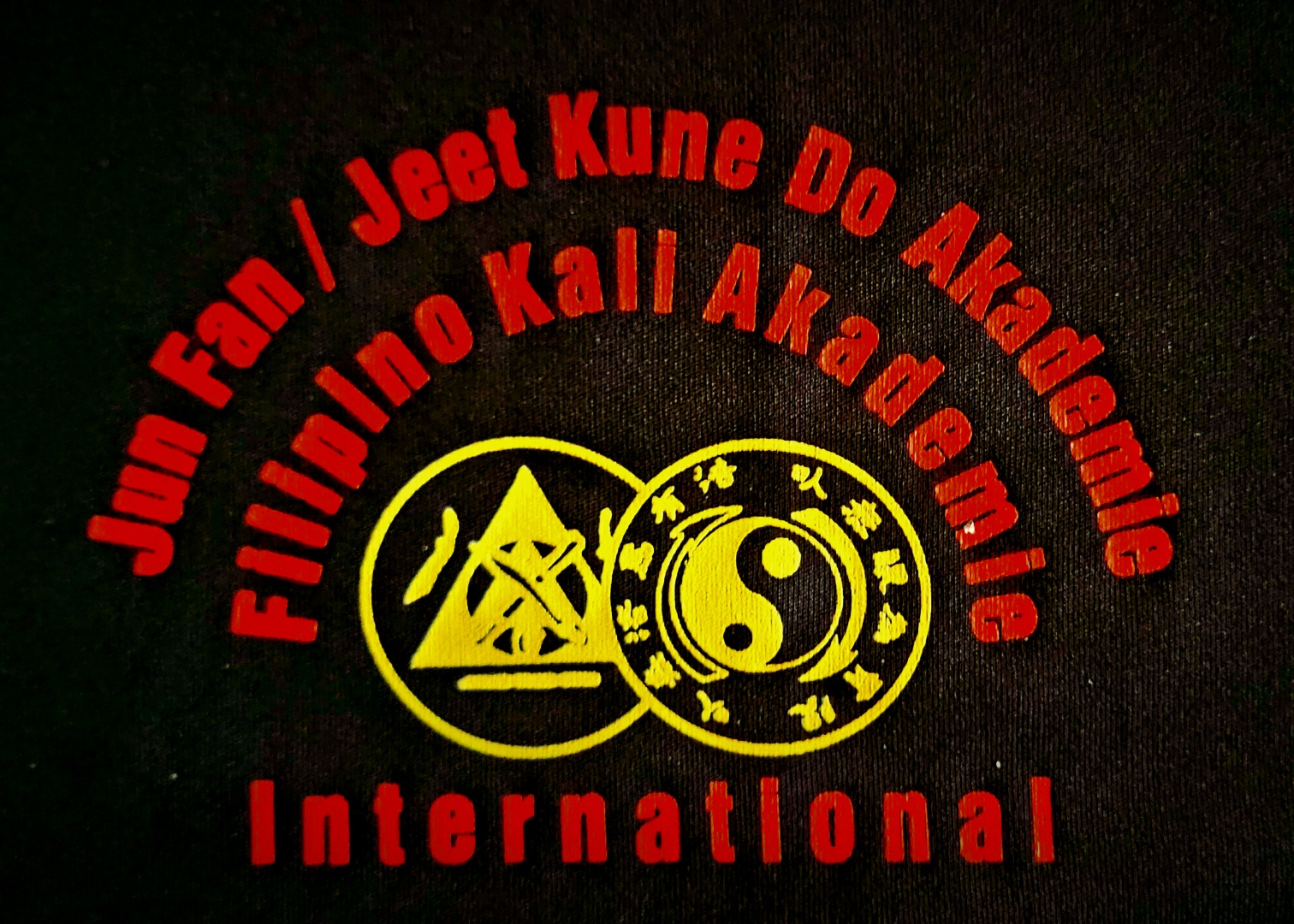 Logo der Firma Jeet Kune Do-Kali Club Singen aus Singen