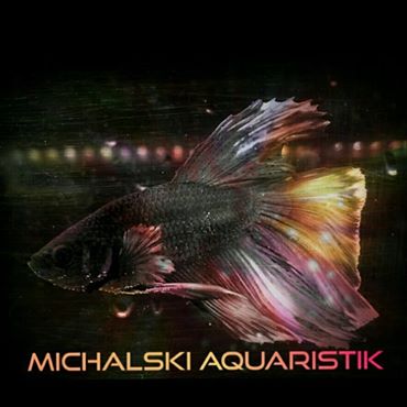 Logo der Firma Michalski's Aquaristik aus Hildesheim