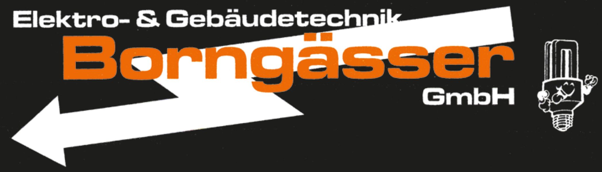 Logo der Firma Borngässer GmbH Elektro & Gebäudetechnik aus Schwabach