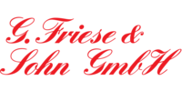 Logo der Firma Friese & Sohn GmbH aus Triptis