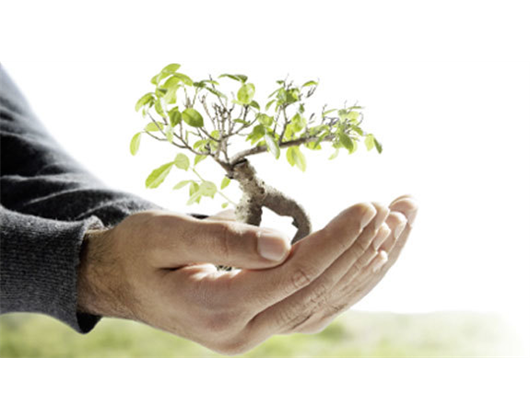 Beispielarbeit von Benno Zapf - veröffentlicht auf Gartenbau.org
