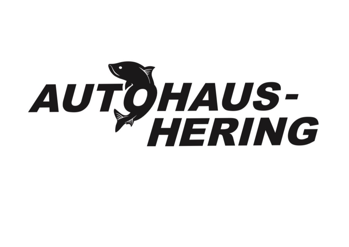 Logo der Firma Autohaus Hering GmbH aus Riesa