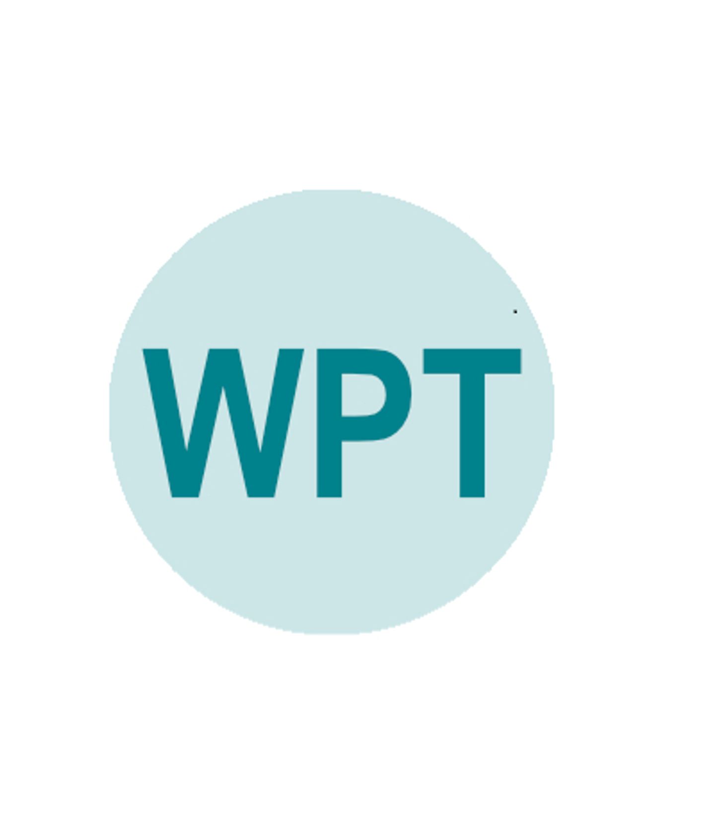 Logo der Firma WPT Wirtschaftsprüfung und Treuhand GmbH Wirtschaftsprüfungsgesellschaft aus Hirschaid