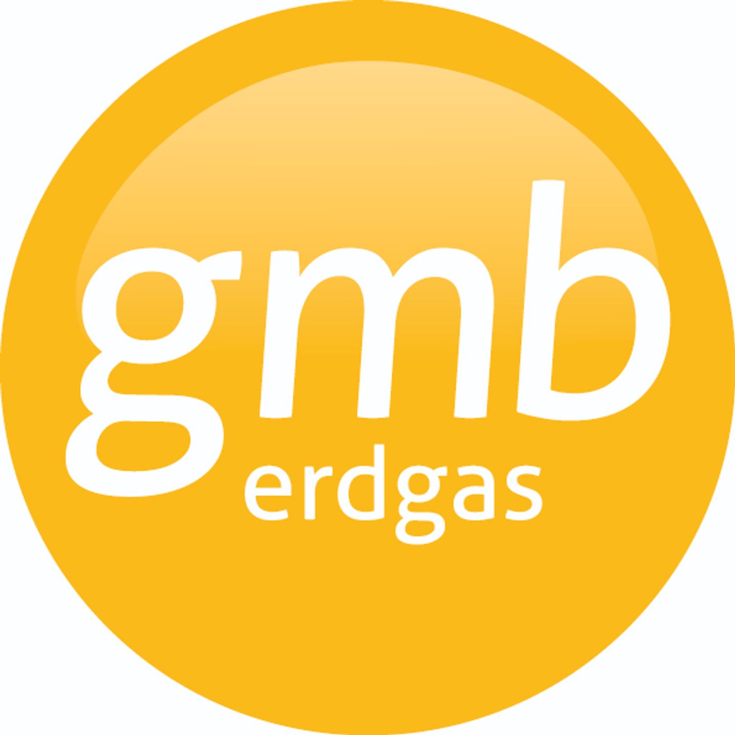 Logo der Firma Gasversorgung Miltenberg-Bürgstadt GmbH aus Miltenberg