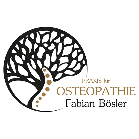 Logo der Firma Praxis für Osteopathie Fabian Bösler aus Untermeitingen