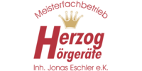 Logo der Firma Herzog Hörgeräte aus Langenzenn