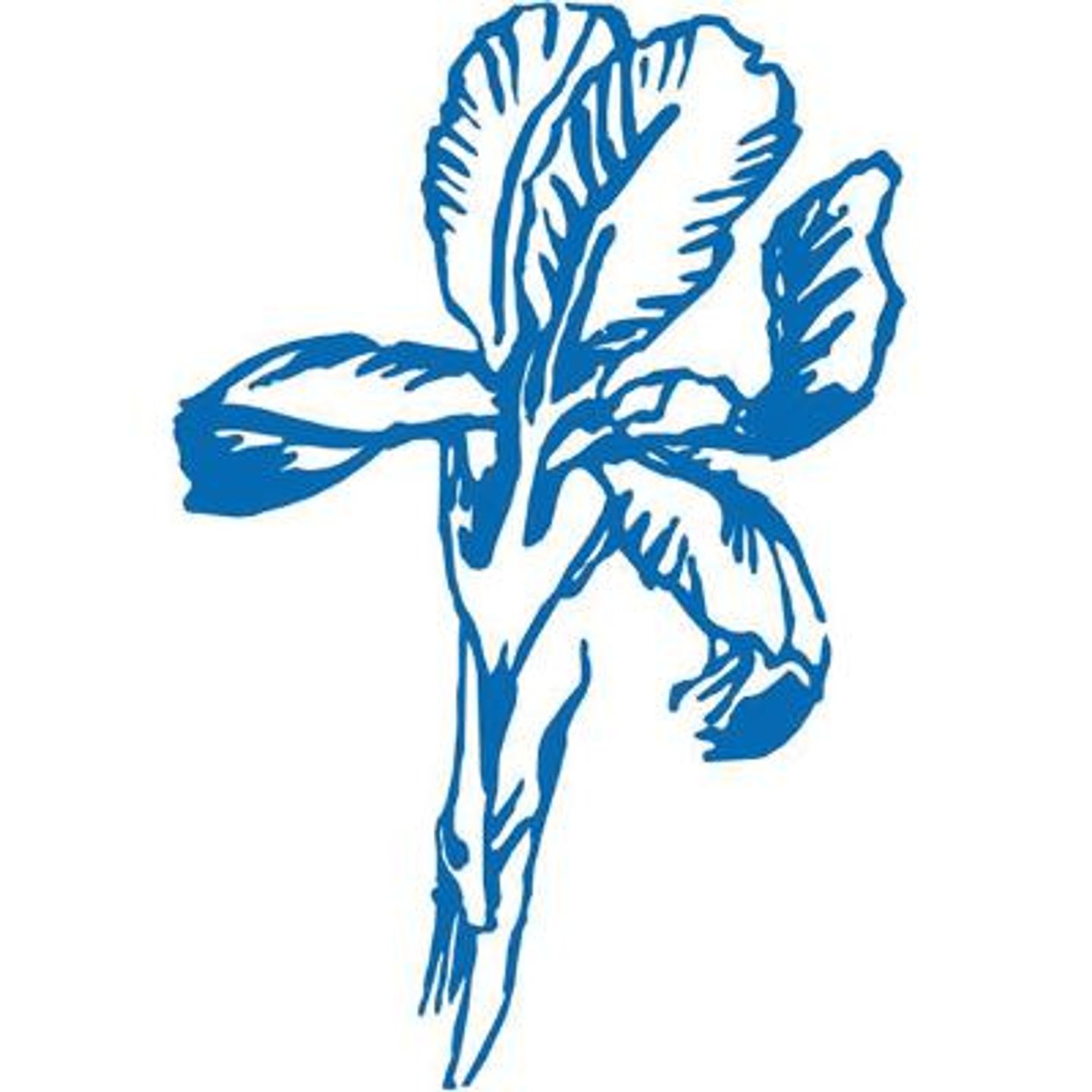 Logo der Firma Iris-Apotheke am Eli aus Mönchengladbach