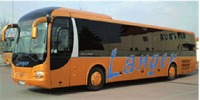 Logo der Firma Langer Busunternehmen aus Großenhain
